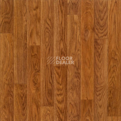 Линолеум Tarkett Лин Быт 21-2,1 ДУБ ШЕРВУД фото 1 | FLOORDEALER